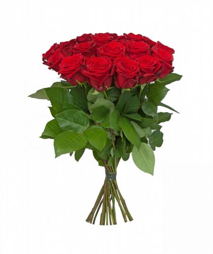 15 красных роз - купить с доставкой по Алимкино